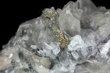 Calcite Crystal Cluster with Pyrite - Morocco #69532-1